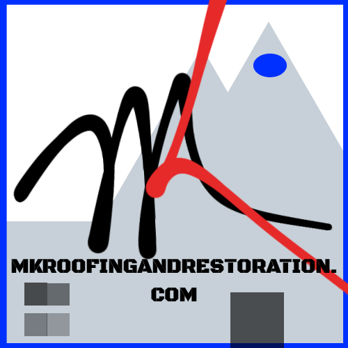 21 Point Roof Inspection